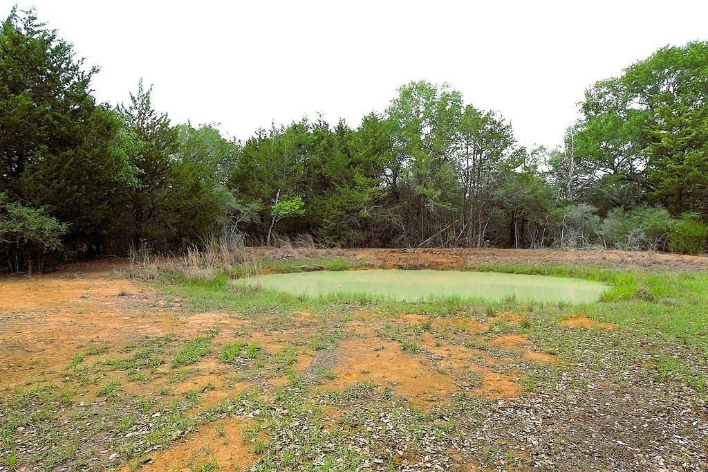 22.86 acres in Colorado County - photo 6