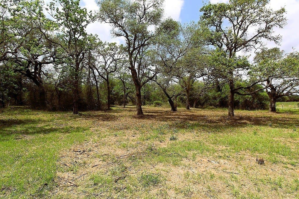 22.86 acres in Colorado County - photo 28