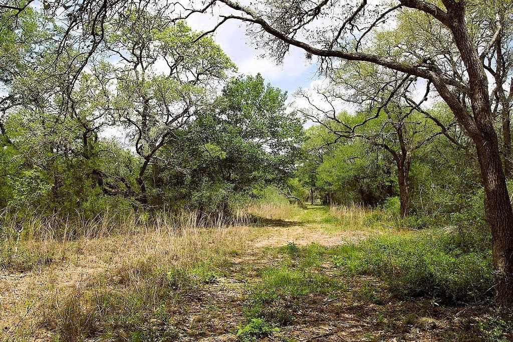 22.86 acres in Colorado County - photo 23