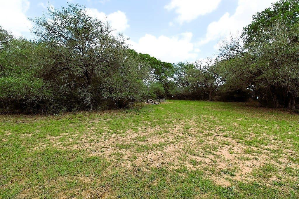 22.86 acres in Colorado County - photo 21