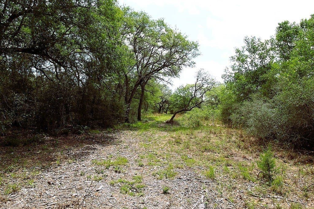 22.86 acres in Colorado County - photo 24