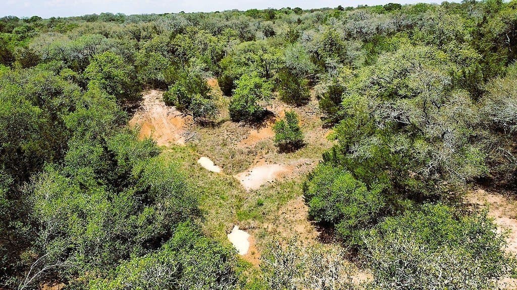 22.86 acres in Colorado County - photo 8