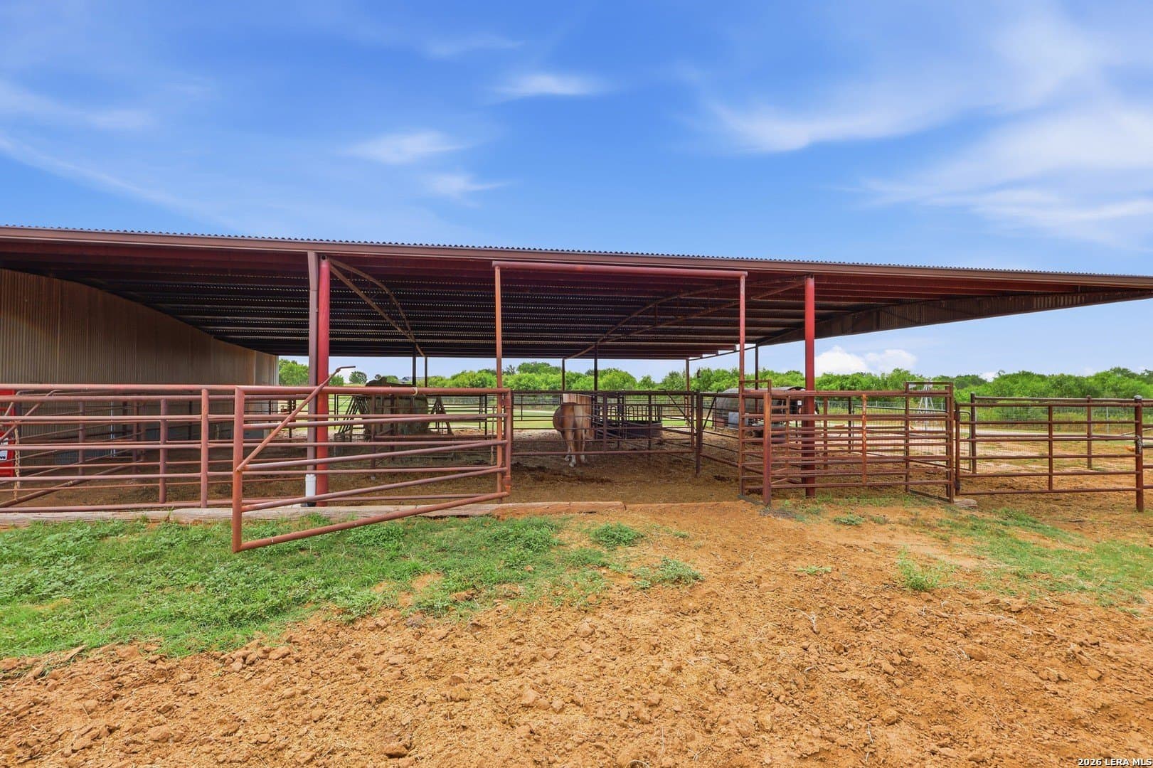 8 acres in Guadalupe County gallery image 3