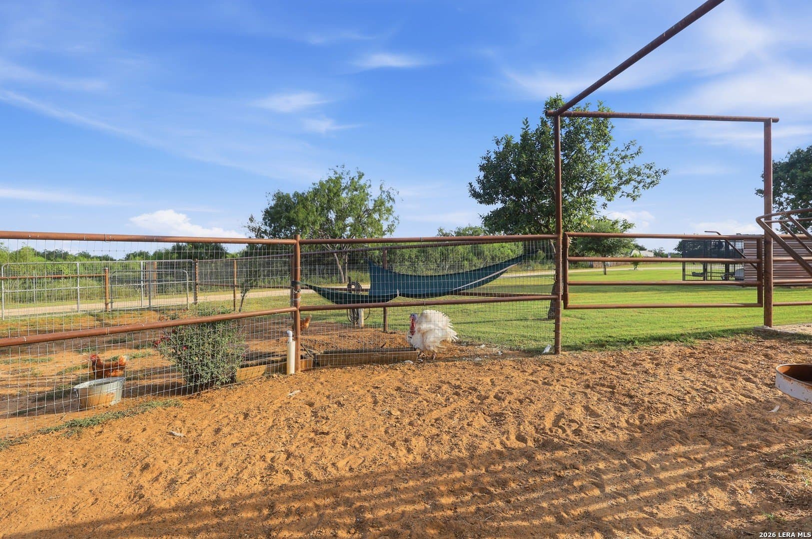 8 acres in Guadalupe County - photo 60
