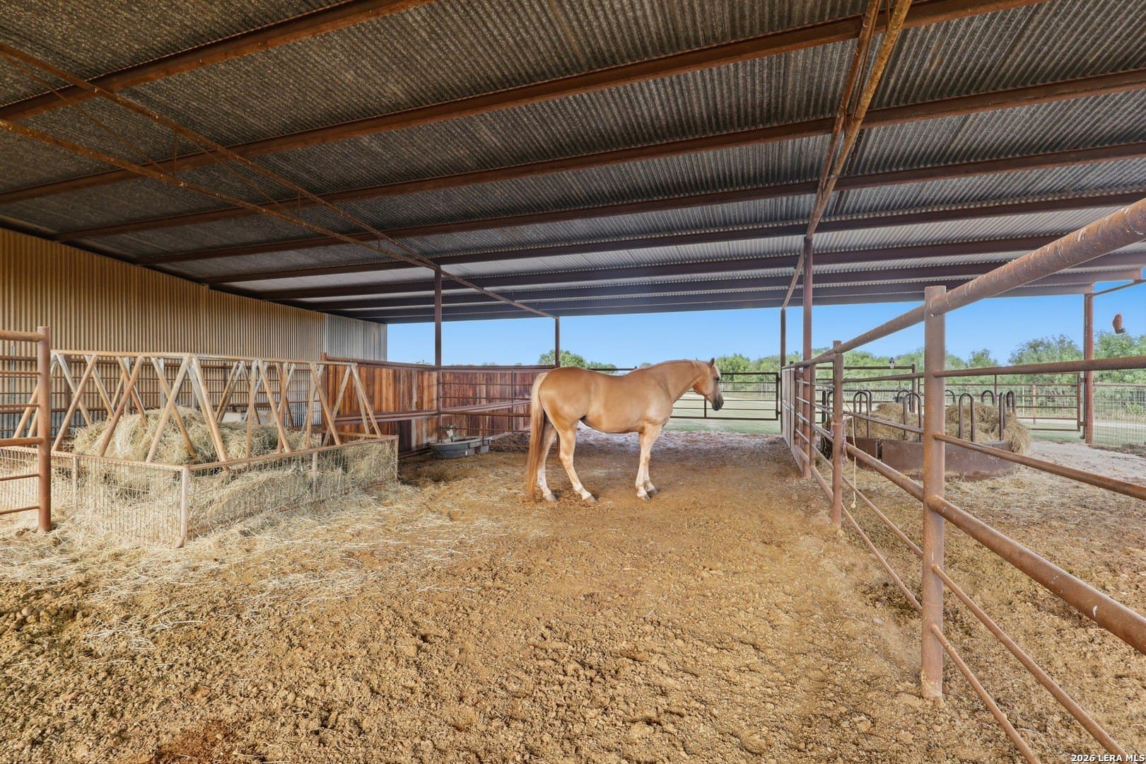 8 acres in Guadalupe County - photo 61
