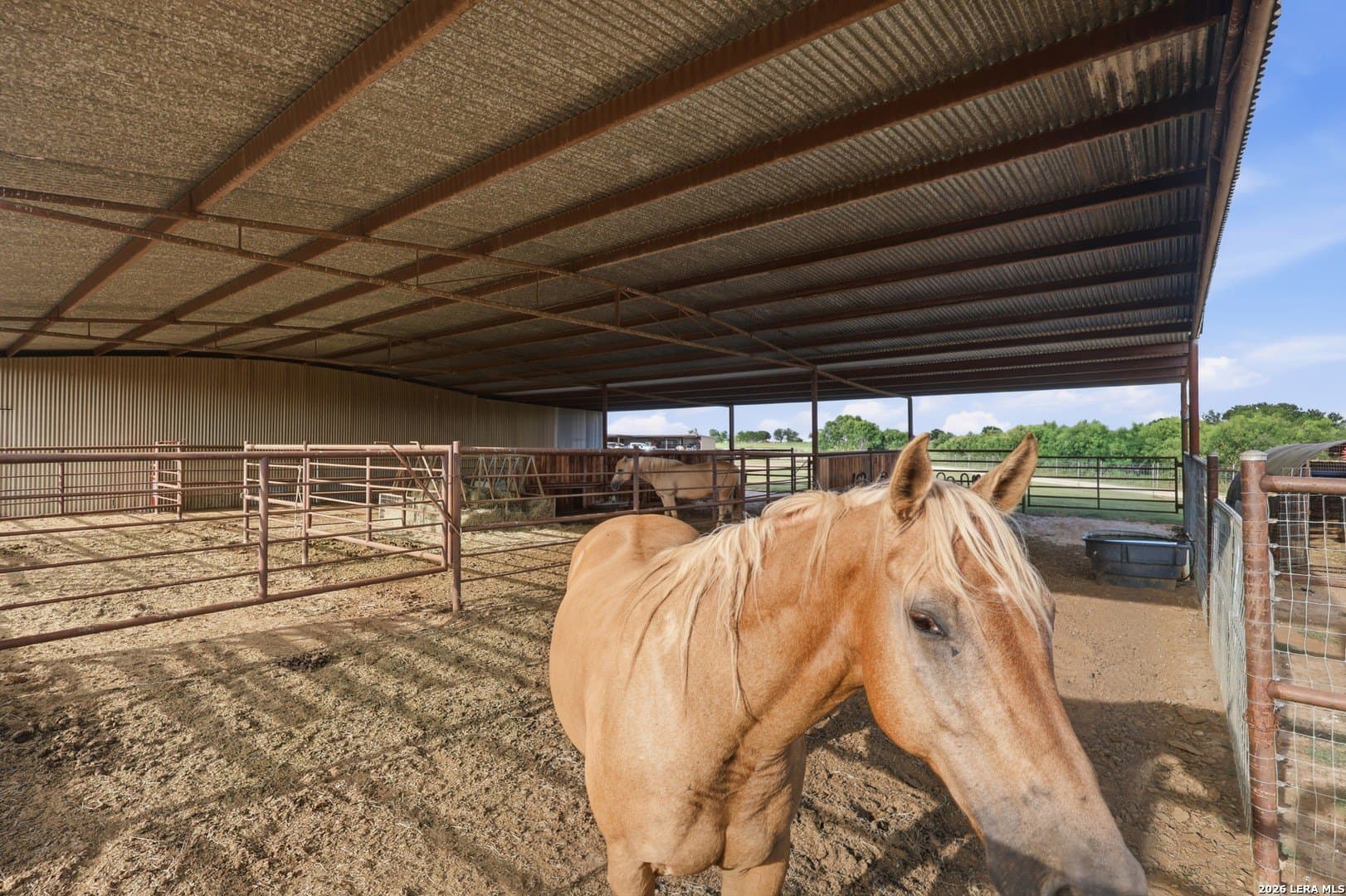 8 acres in Guadalupe County - photo 63