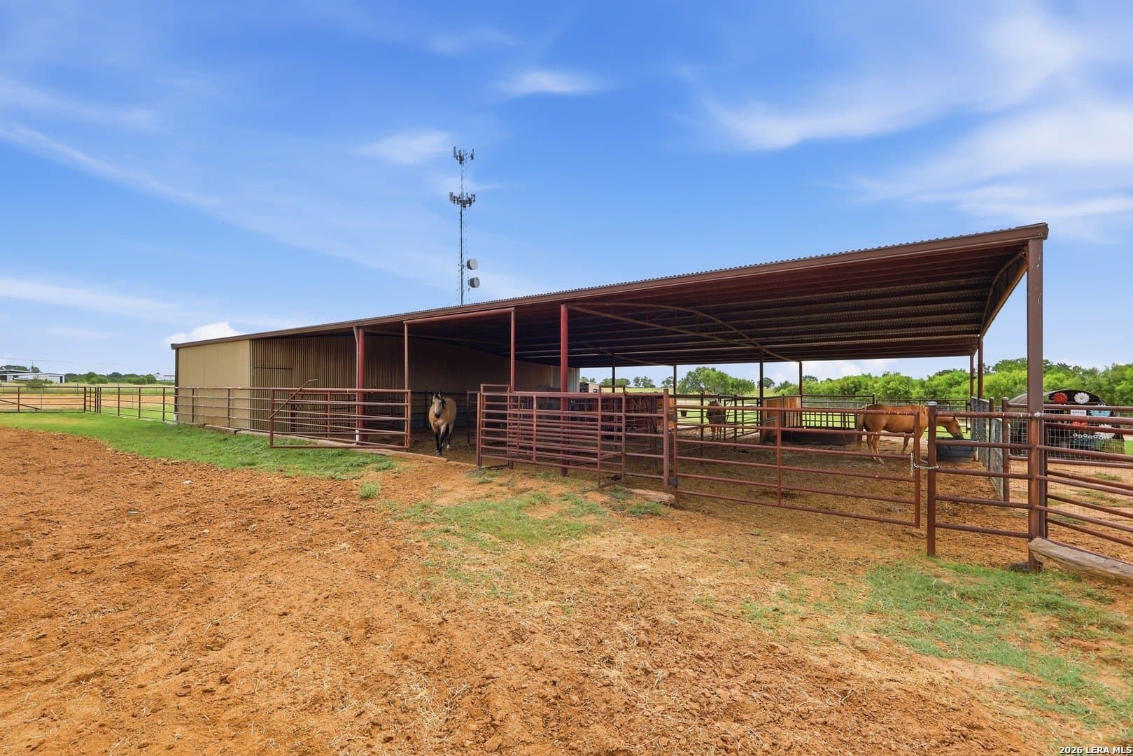 8 acres in Guadalupe County - photo 11