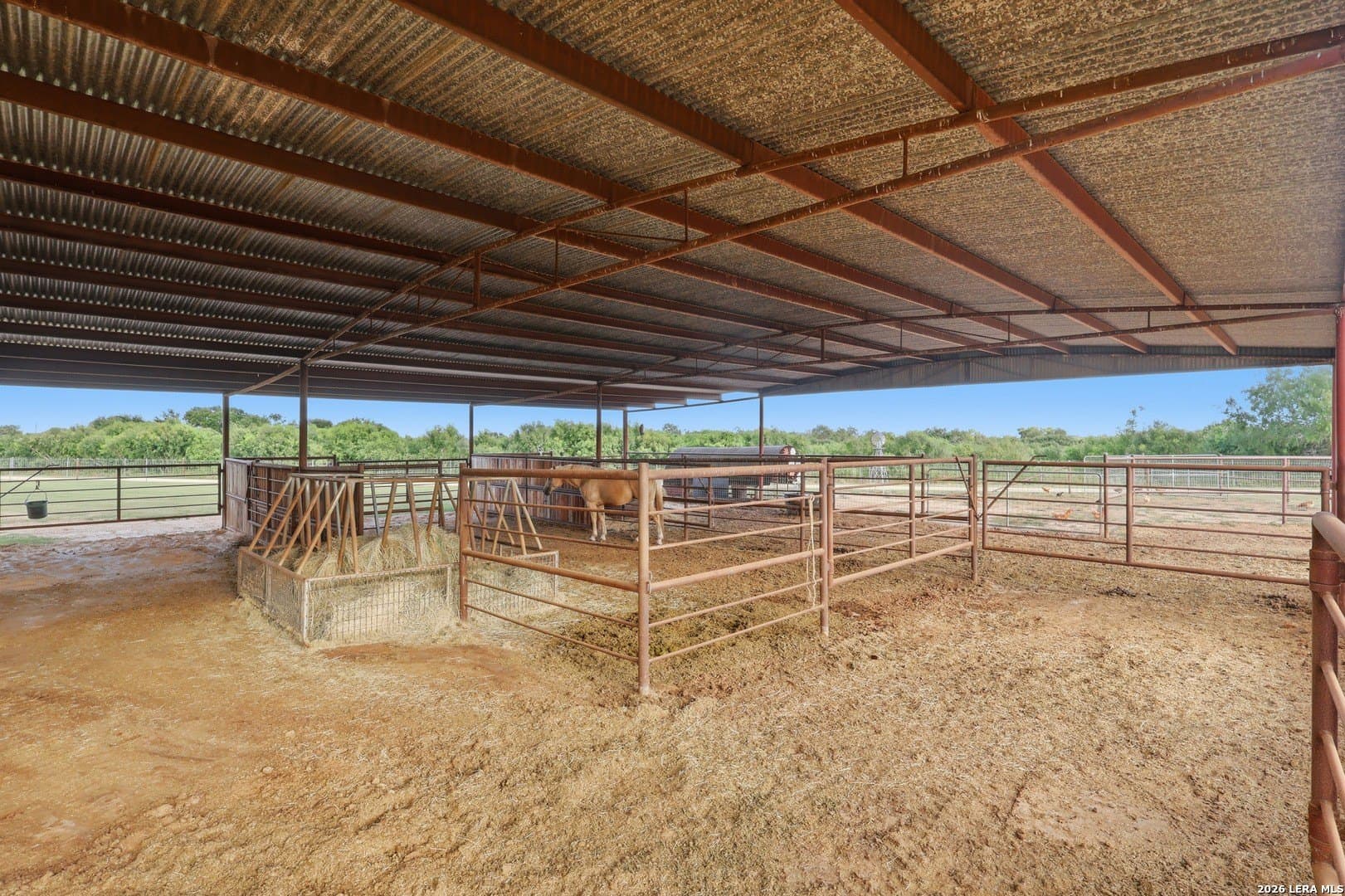 8 acres in Guadalupe County - photo 62