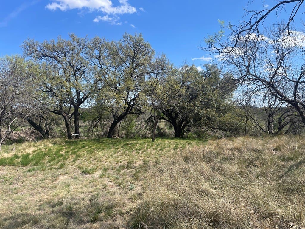 21.74 acres in Kimble County - photo 9