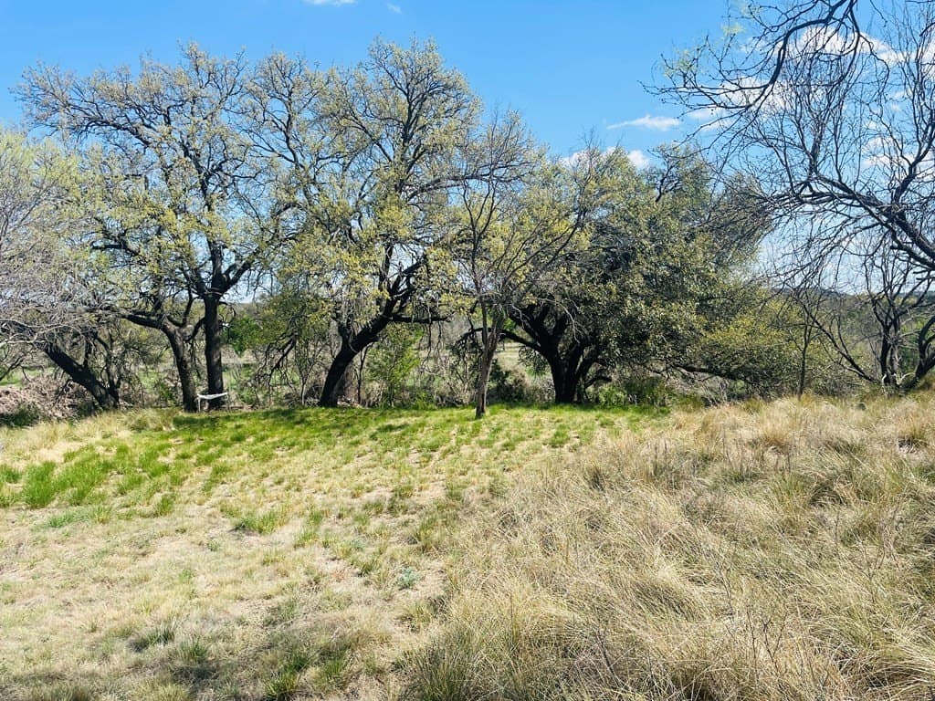 21.74 acres in Kimble County - photo 10