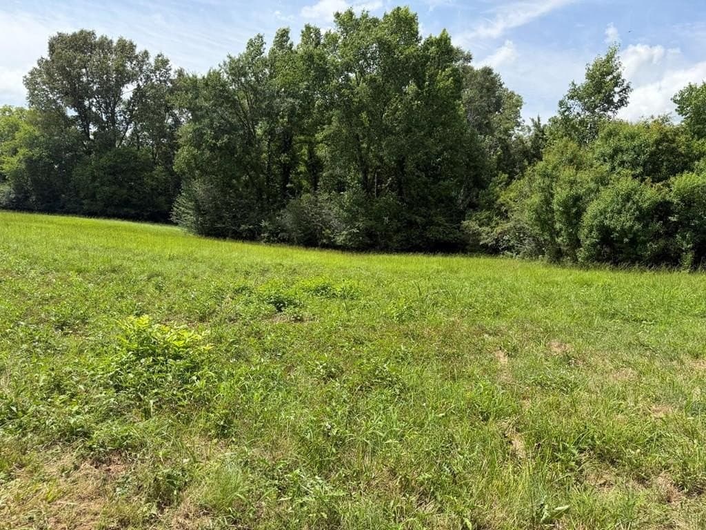 40 acres in Texas County