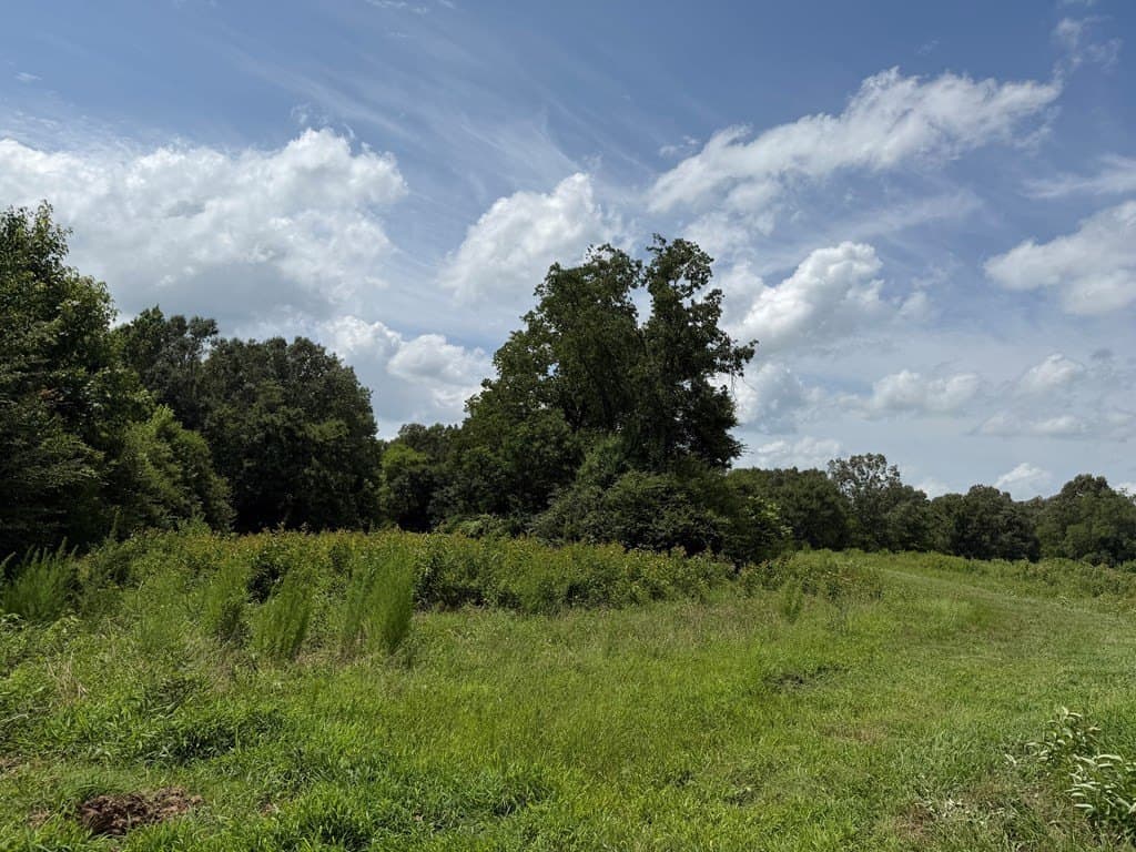 40 acres in Texas County - photo 6