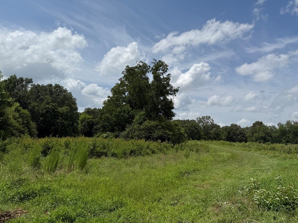 40 acres in Texas County featured view