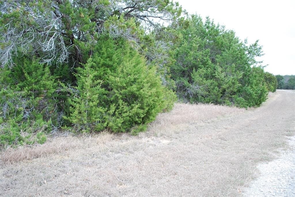 0.32 acres in Hill County gallery image 2