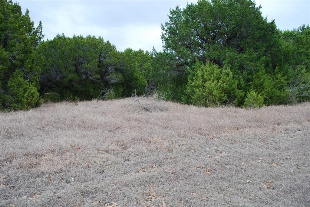 0.32 acres in Hill County featured view