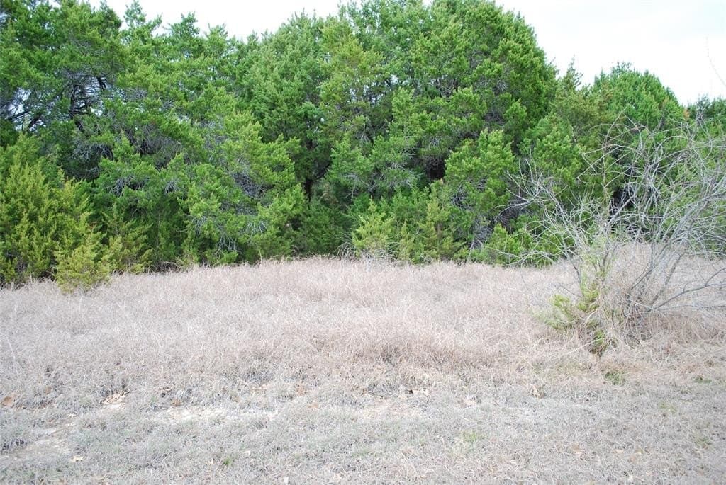 0.32 acres in Hill County gallery image 3