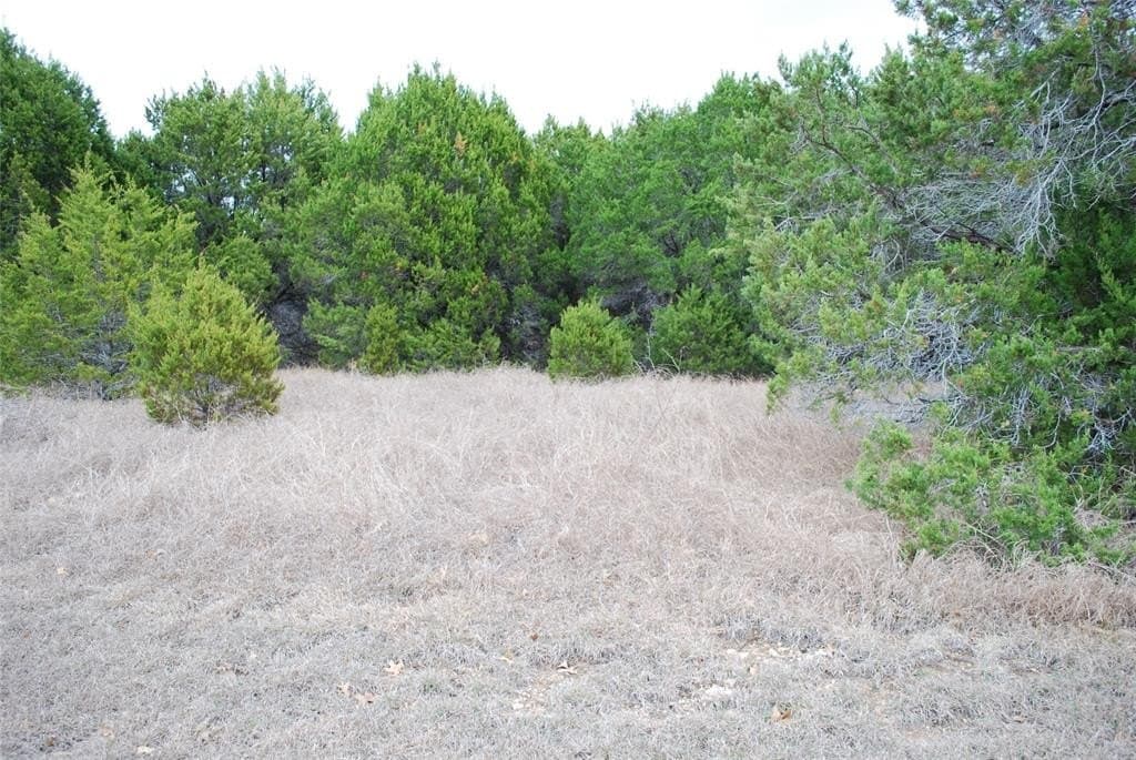 0.32 acres in Hill County