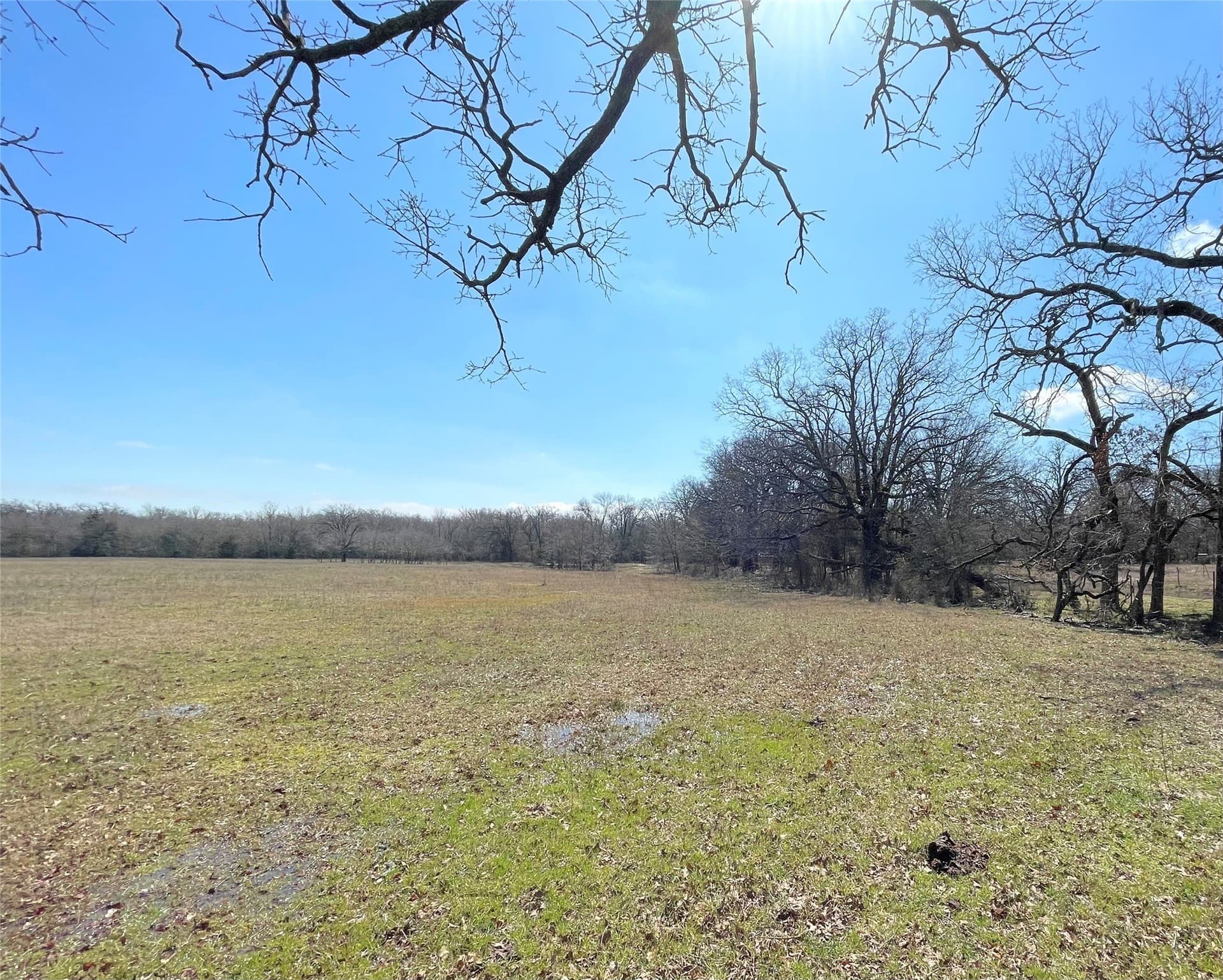 14.07 acres in Hunt County - photo 6