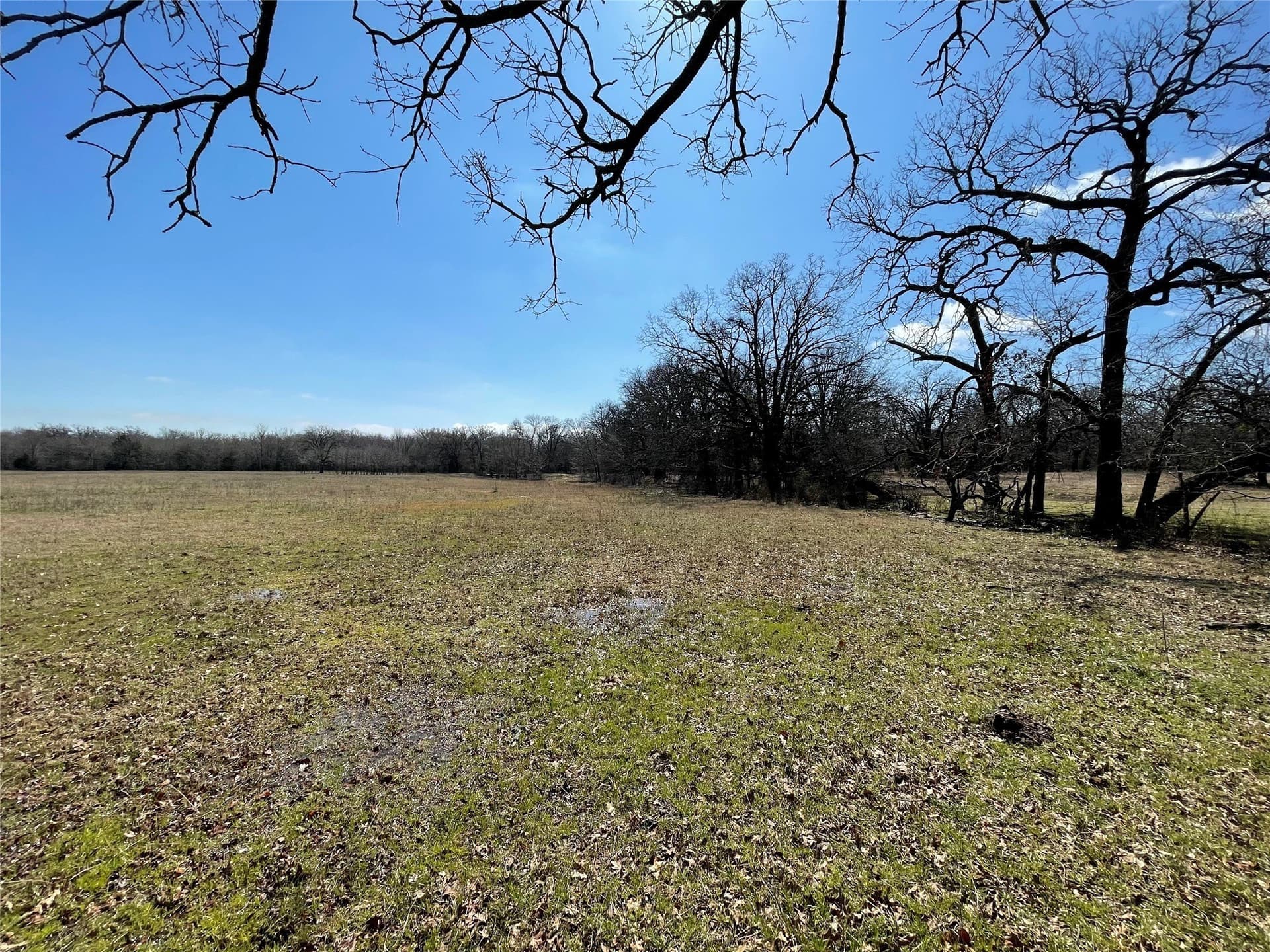 14.07 acres in Hunt County - photo 7