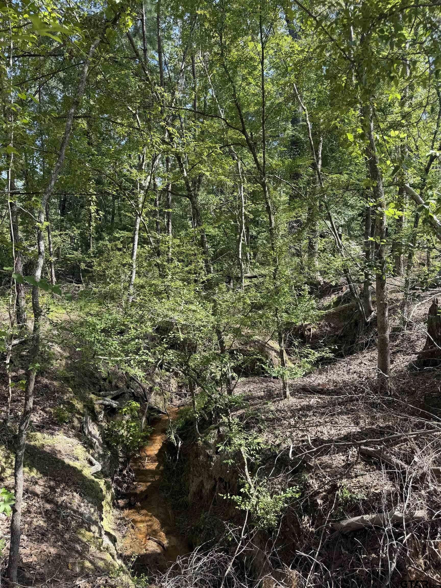 15.33 acres in Cherokee County - photo 4