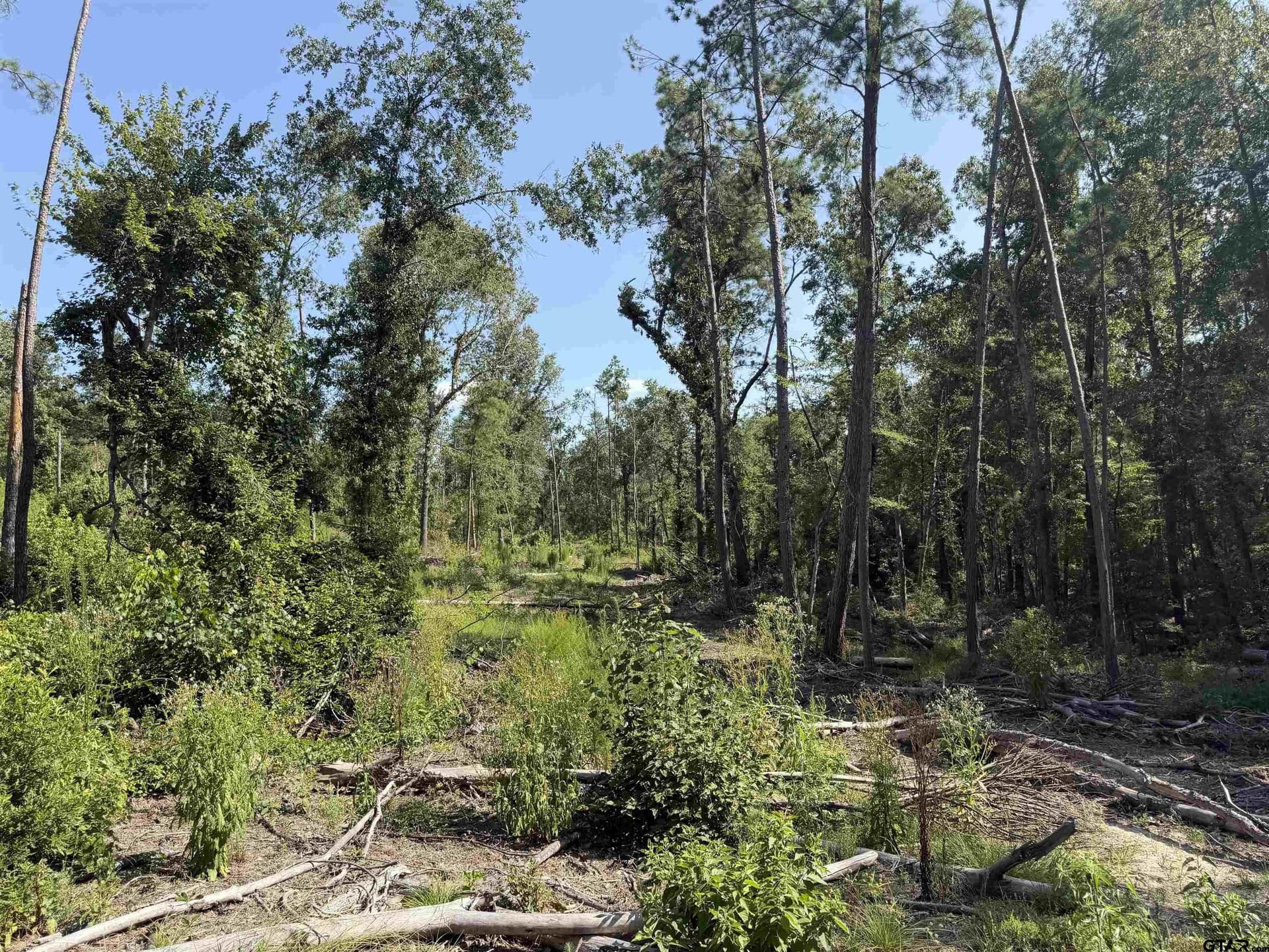 15.33 acres in Cherokee County - photo 5