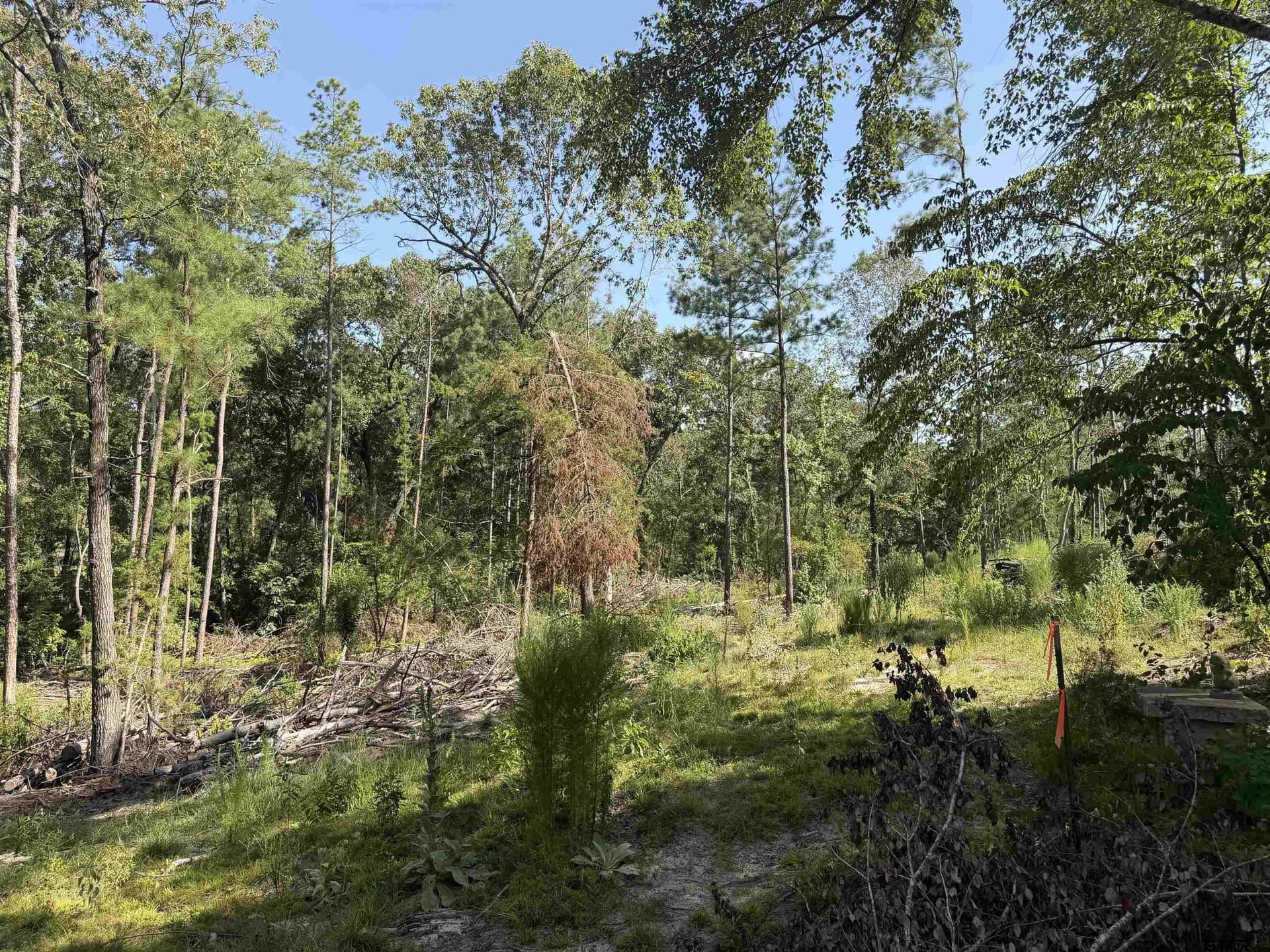 15.33 acres in Cherokee County - photo 3