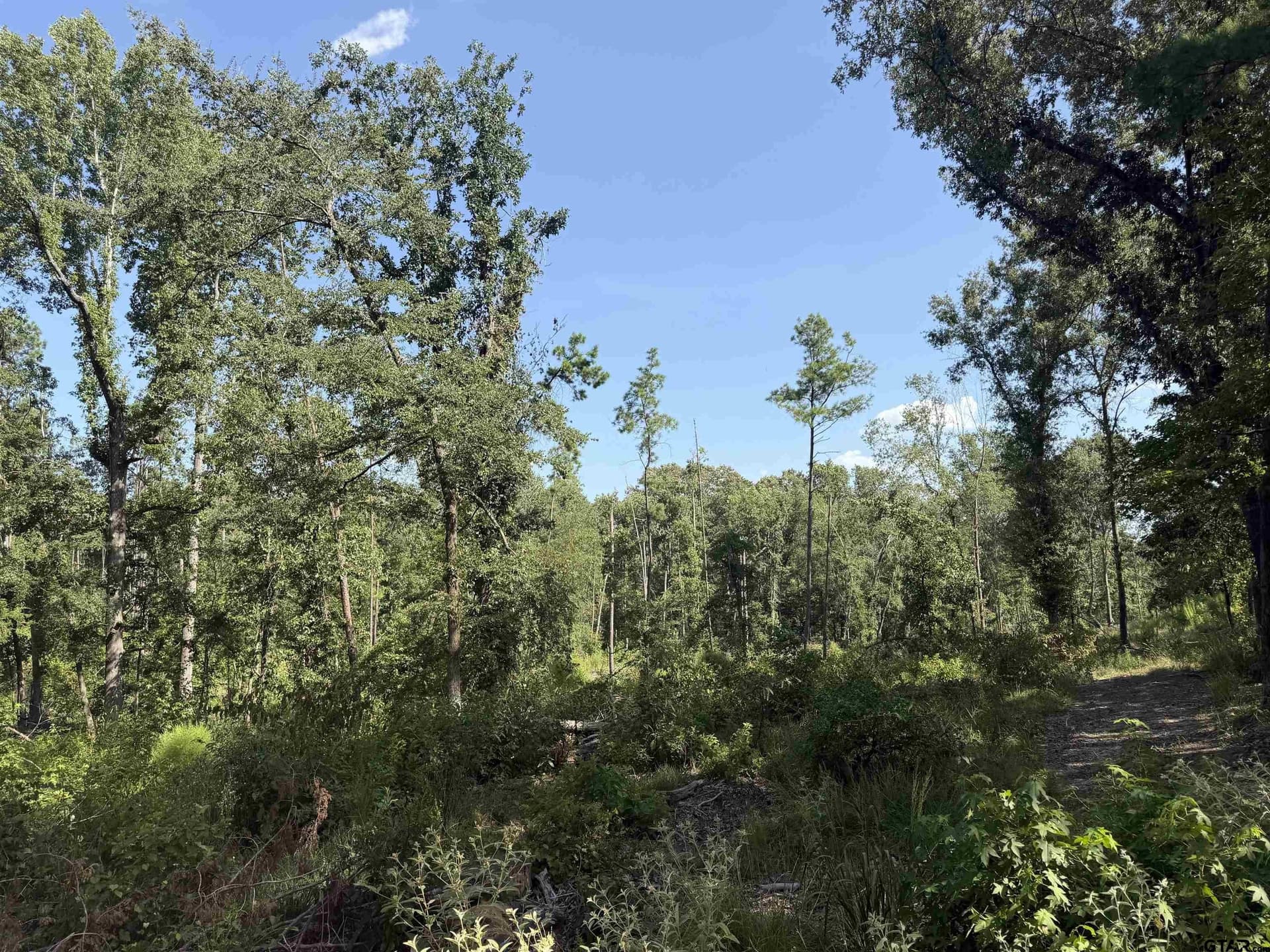 15.33 acres in Cherokee County - photo 2