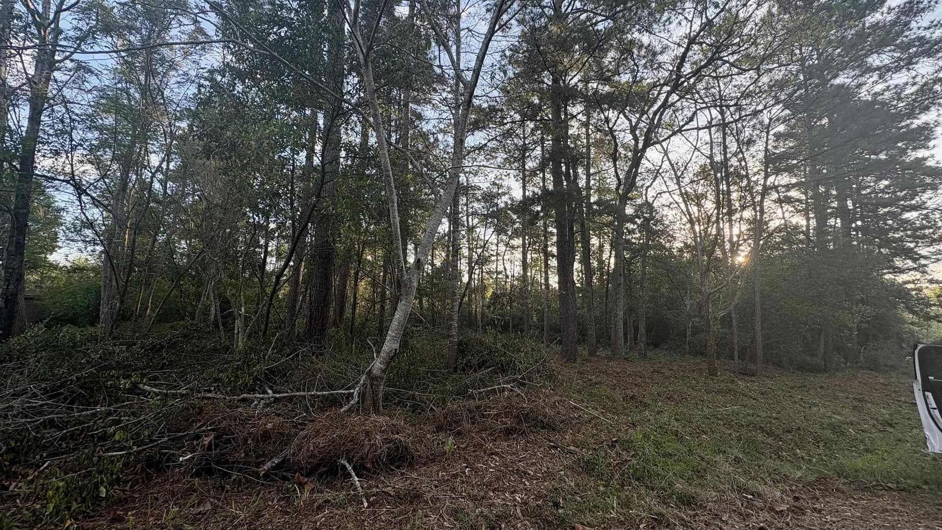 0.34 acres in Tyler County gallery image 4