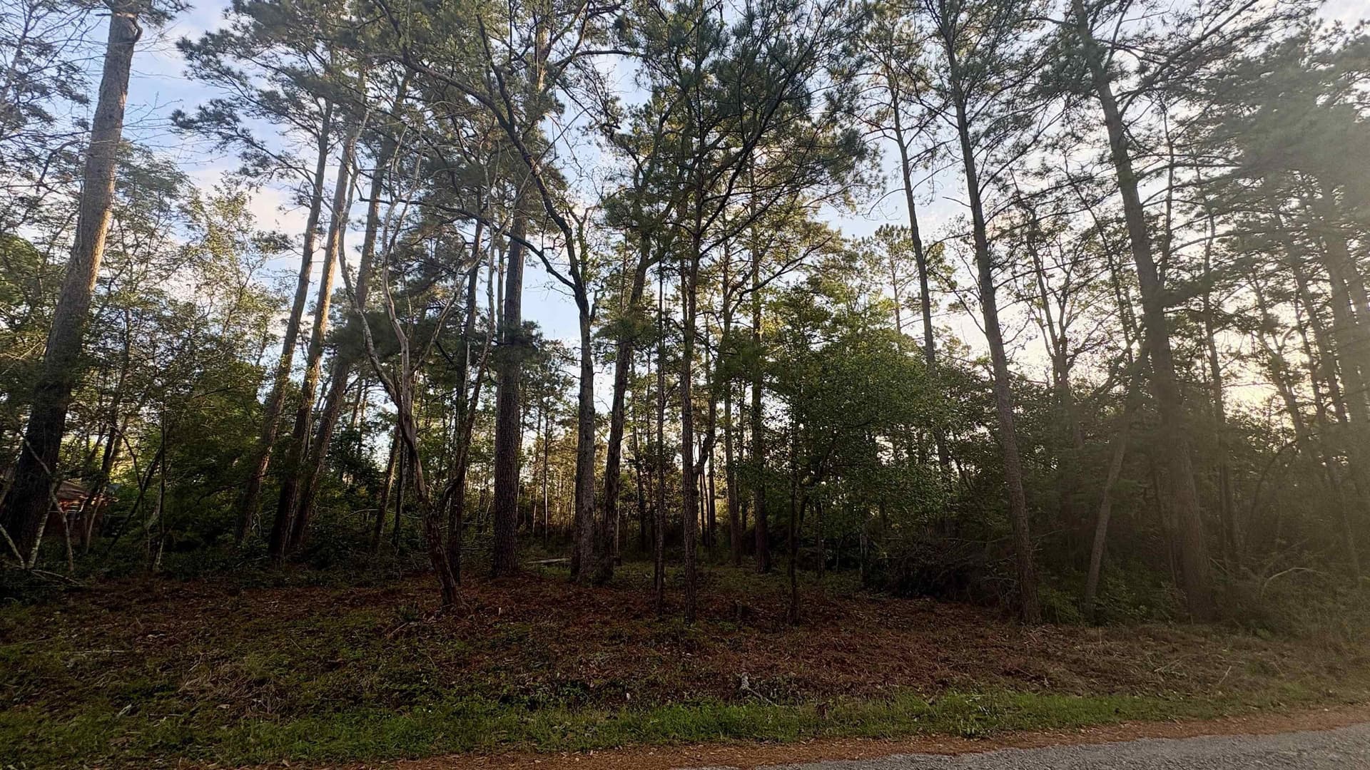 0.34 acres in Tyler County gallery image 2