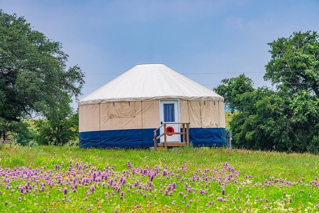 10.42 acres in Blanco County gallery image 2