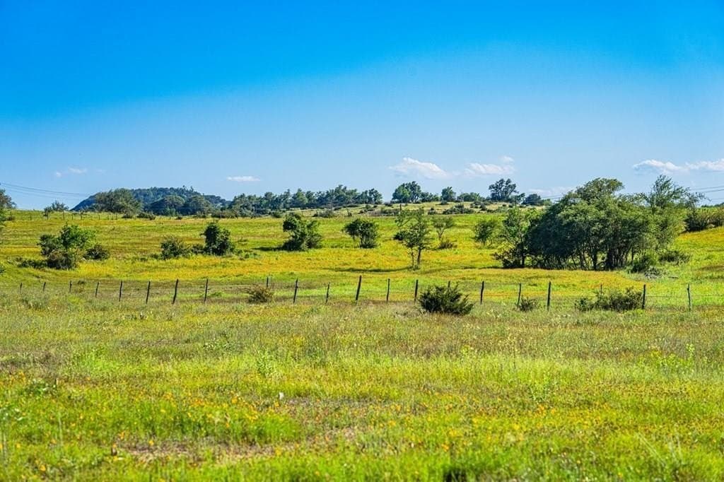 10.42 acres in Blanco County gallery image 3