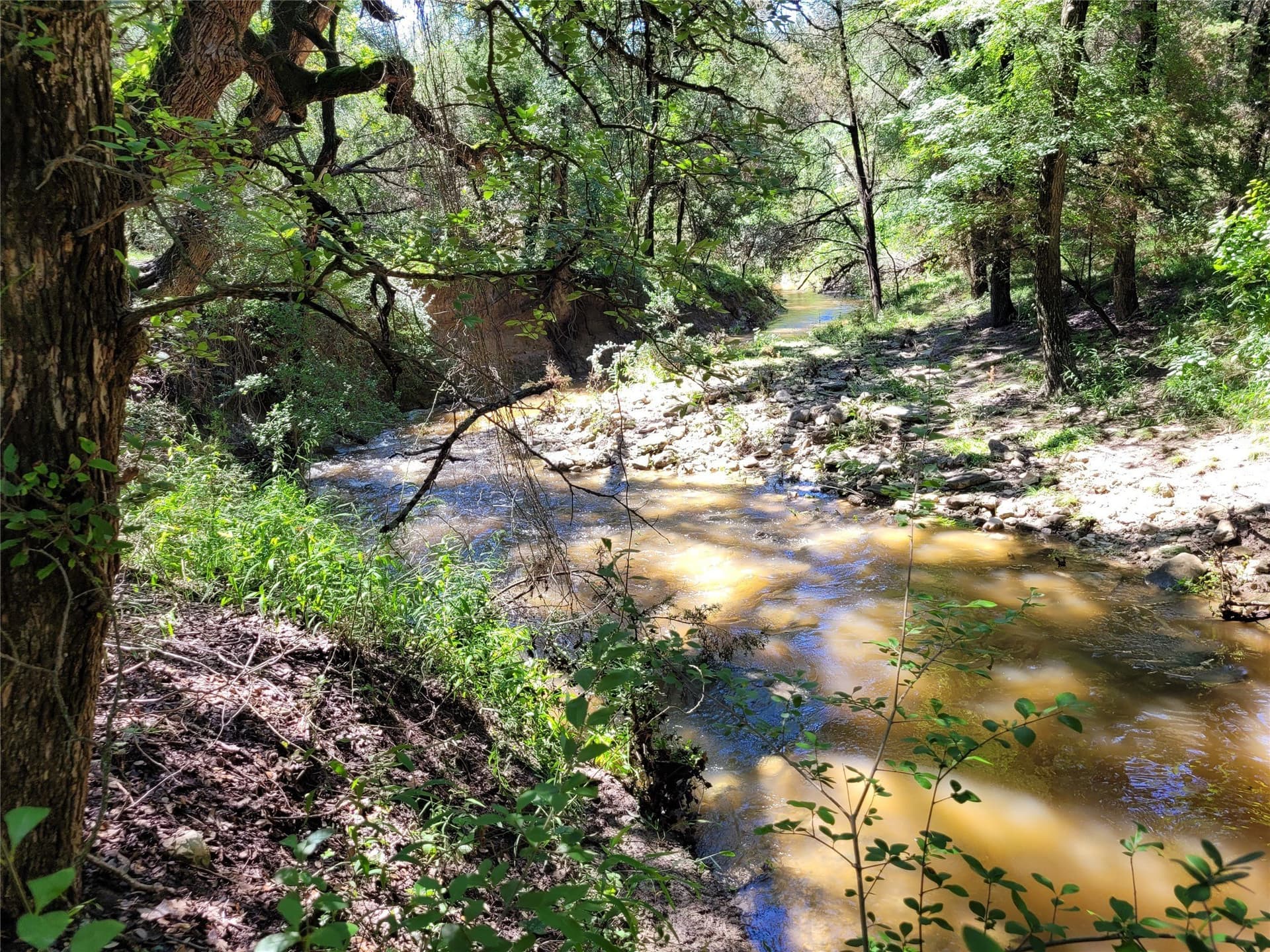 575 acres in Lampasas County - photo 8
