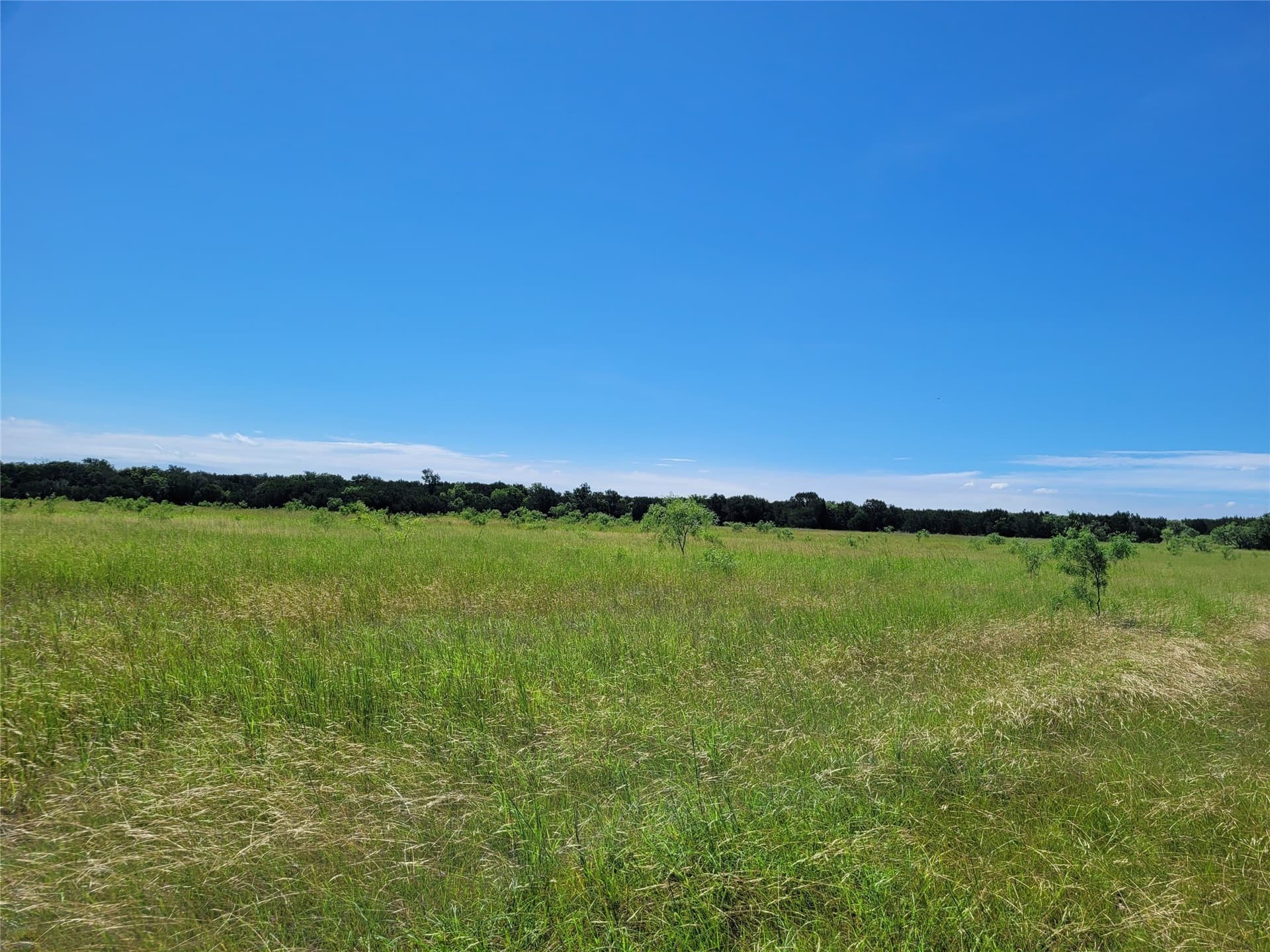 575 acres in Lampasas County - photo 22