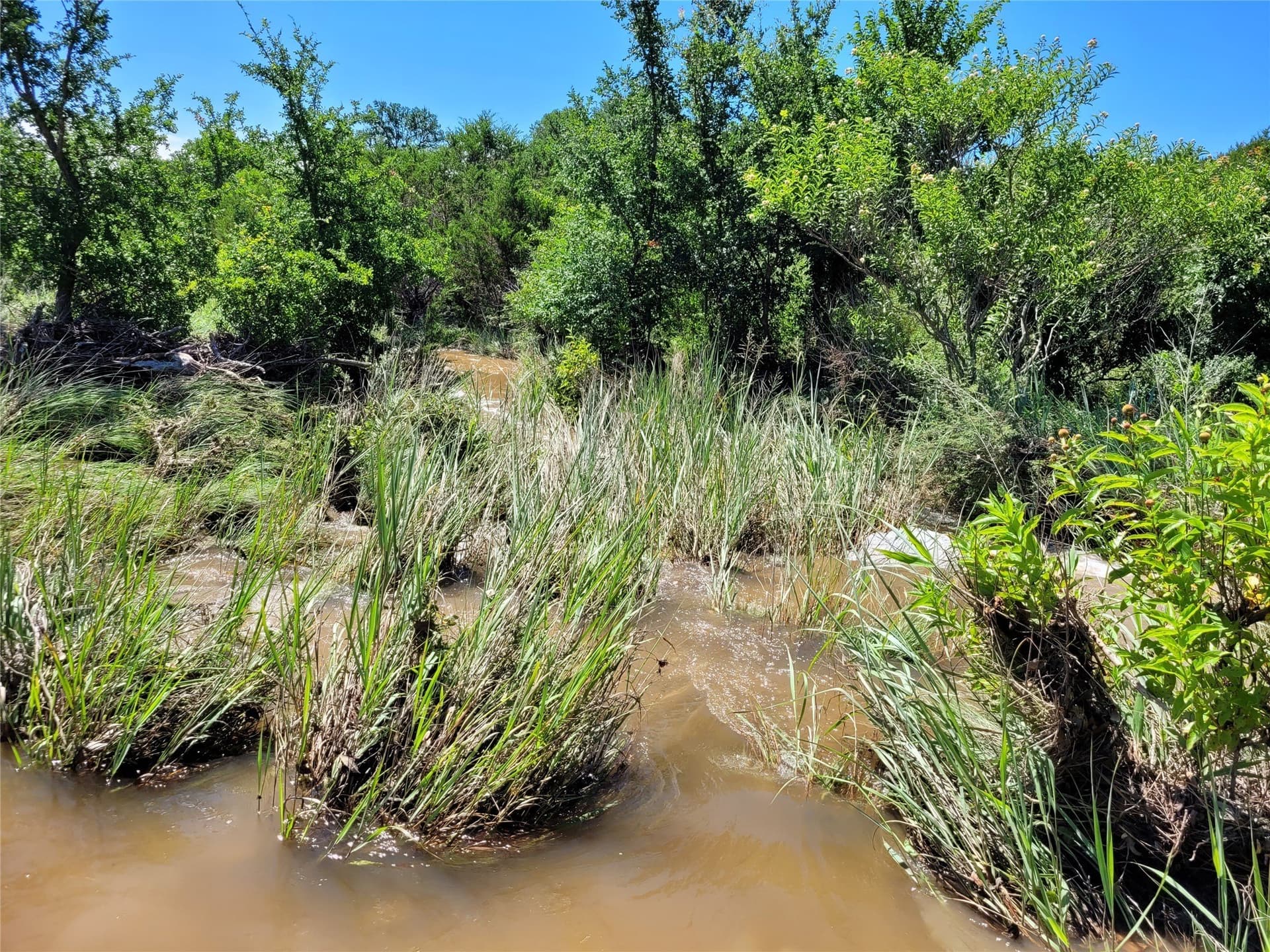 575 acres in Lampasas County - photo 13
