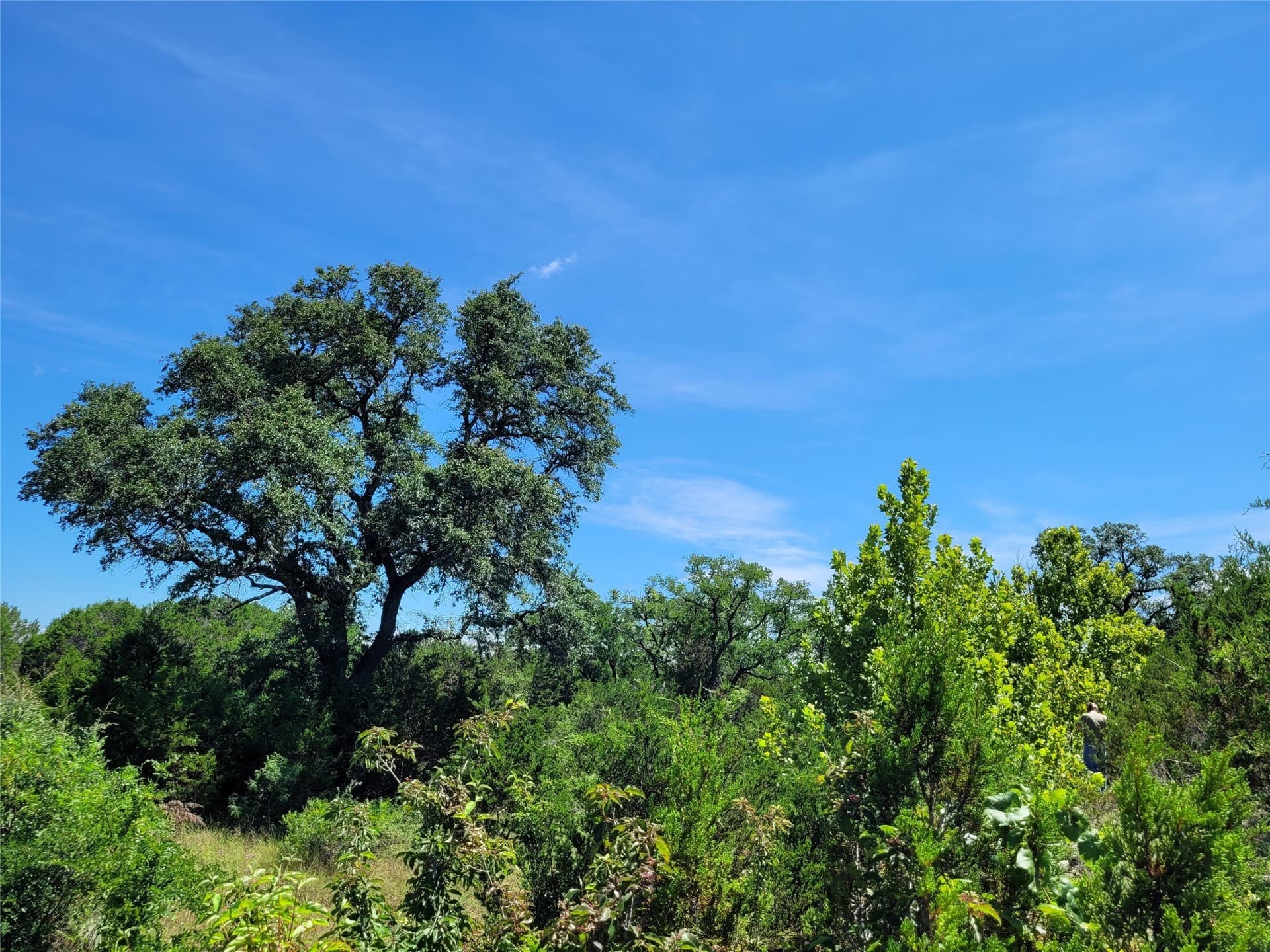 575 acres in Lampasas County - photo 17