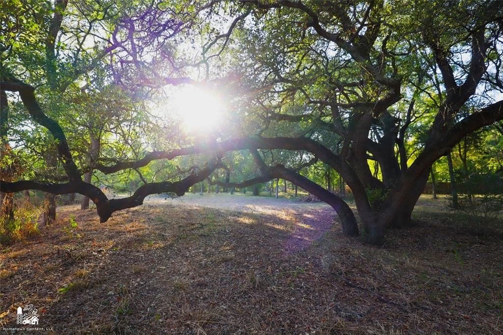 1.38 acres in McLennan County gallery image 4