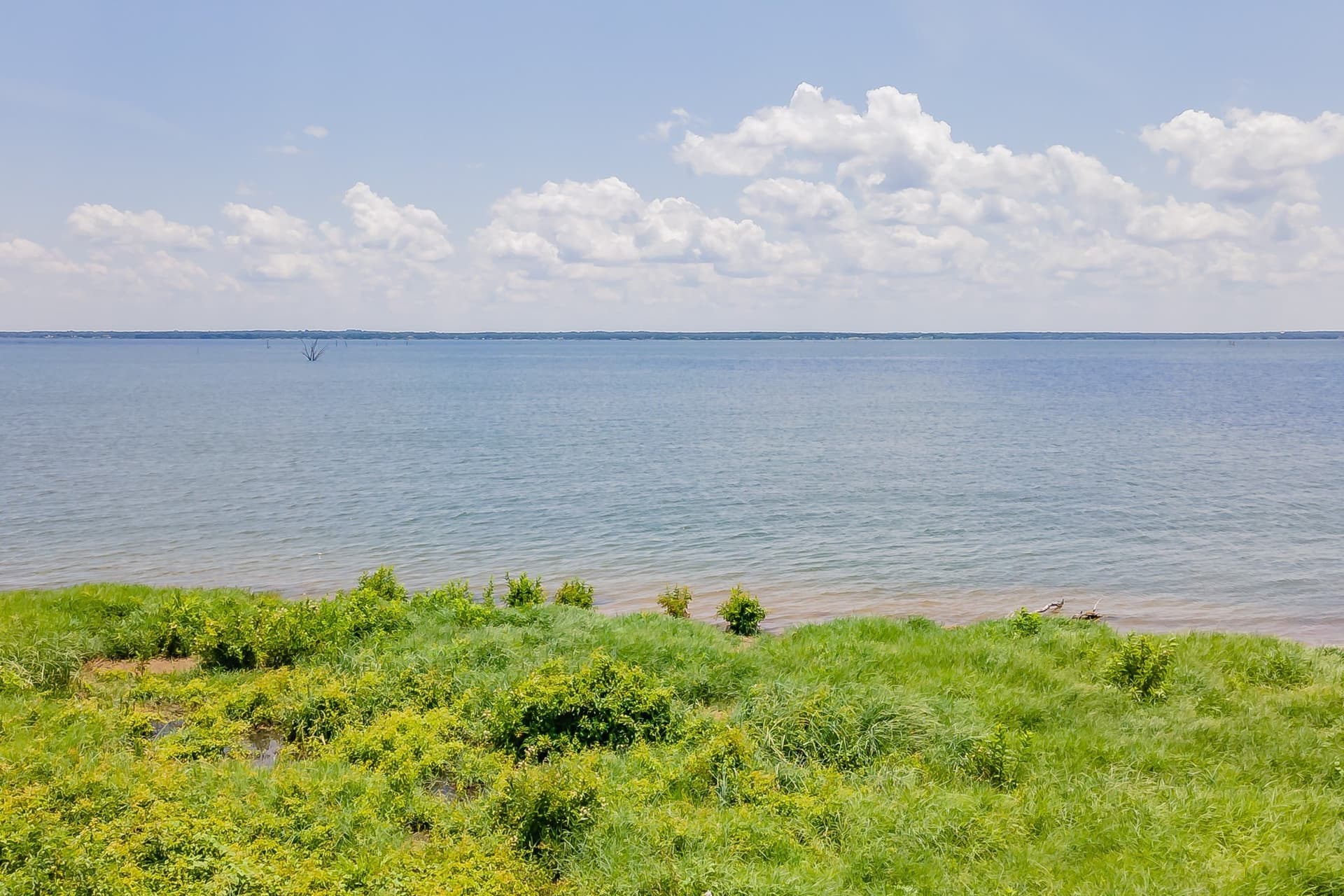 1.33 acres in Navarro County - photo 9