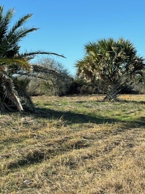 2 acres in Texas County - photo 16