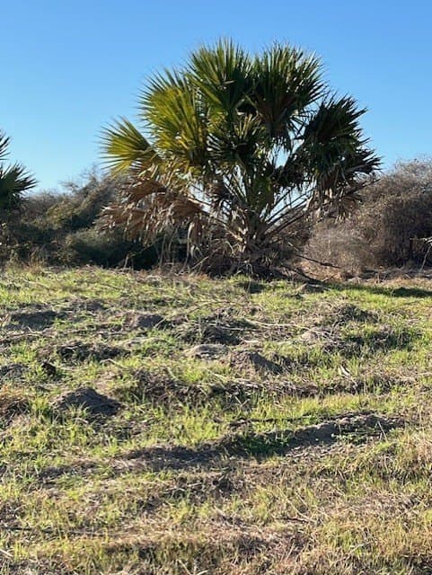 2 acres in Texas County - photo 17