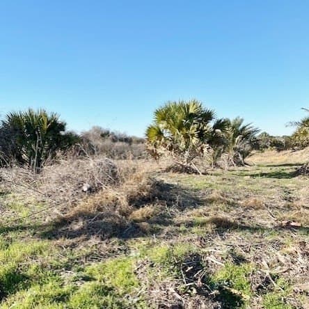 2 acres in Texas County - photo 15