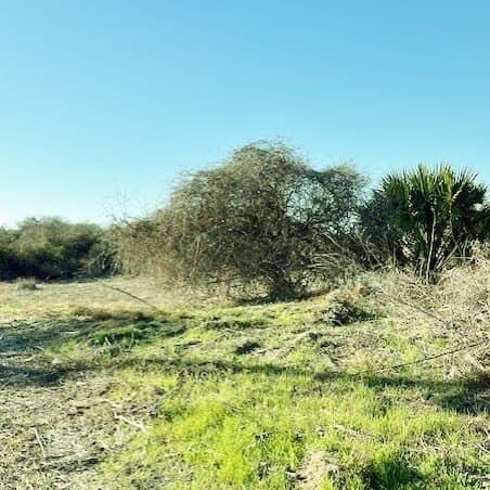 2 acres in Texas County - photo 18