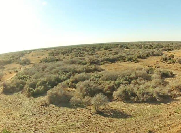 2 acres in Texas County - photo 11
