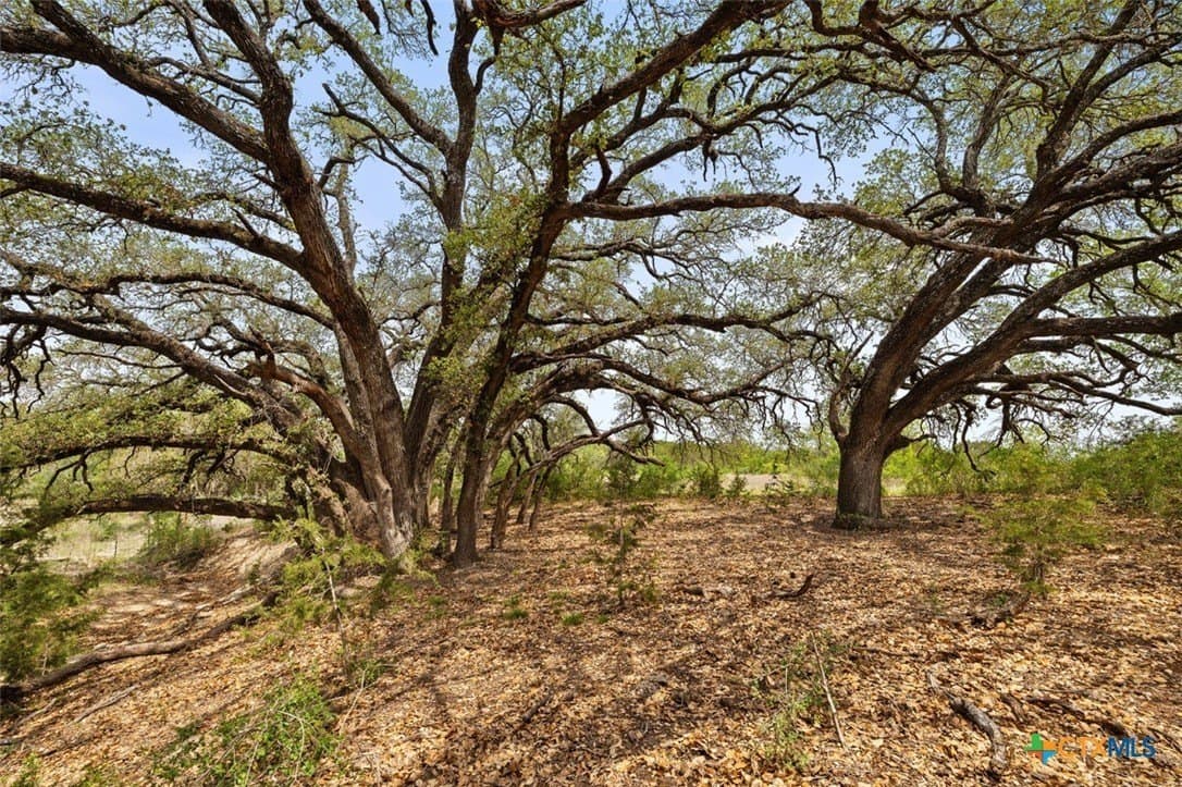 93.99 acres in Burnet County gallery image 4