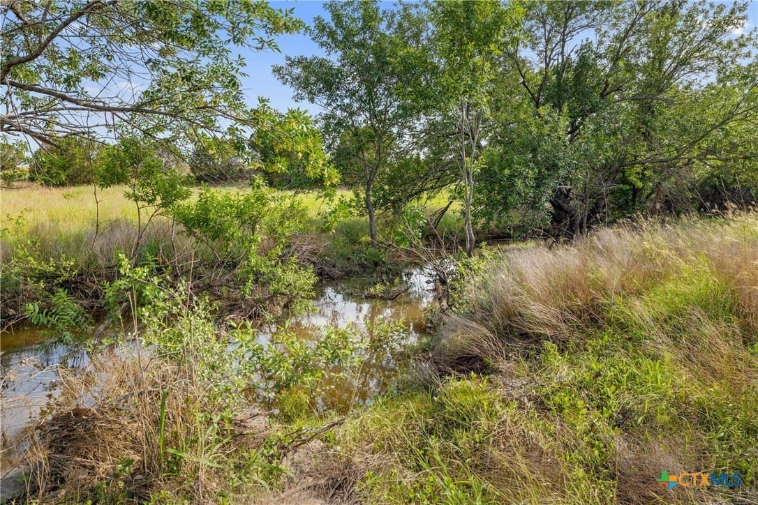 93.99 acres in Burnet County - photo 38