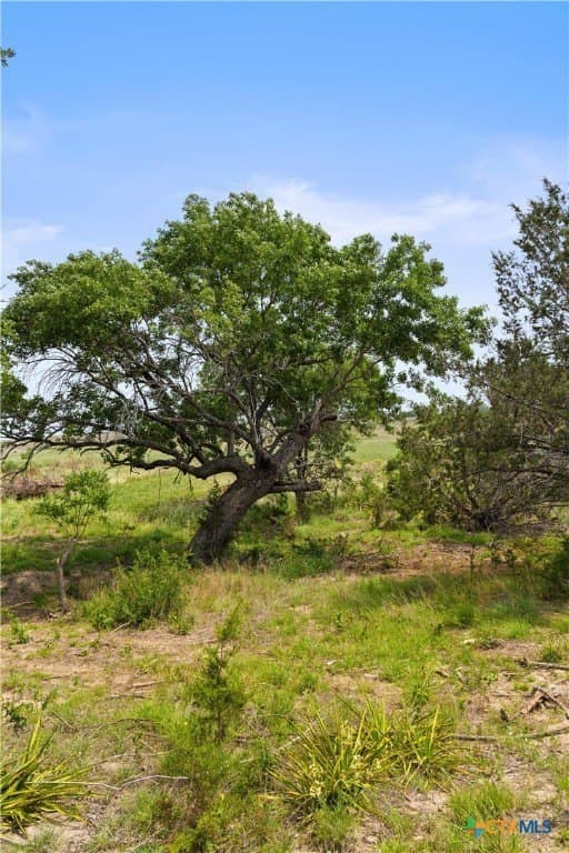 93.99 acres in Burnet County - photo 8