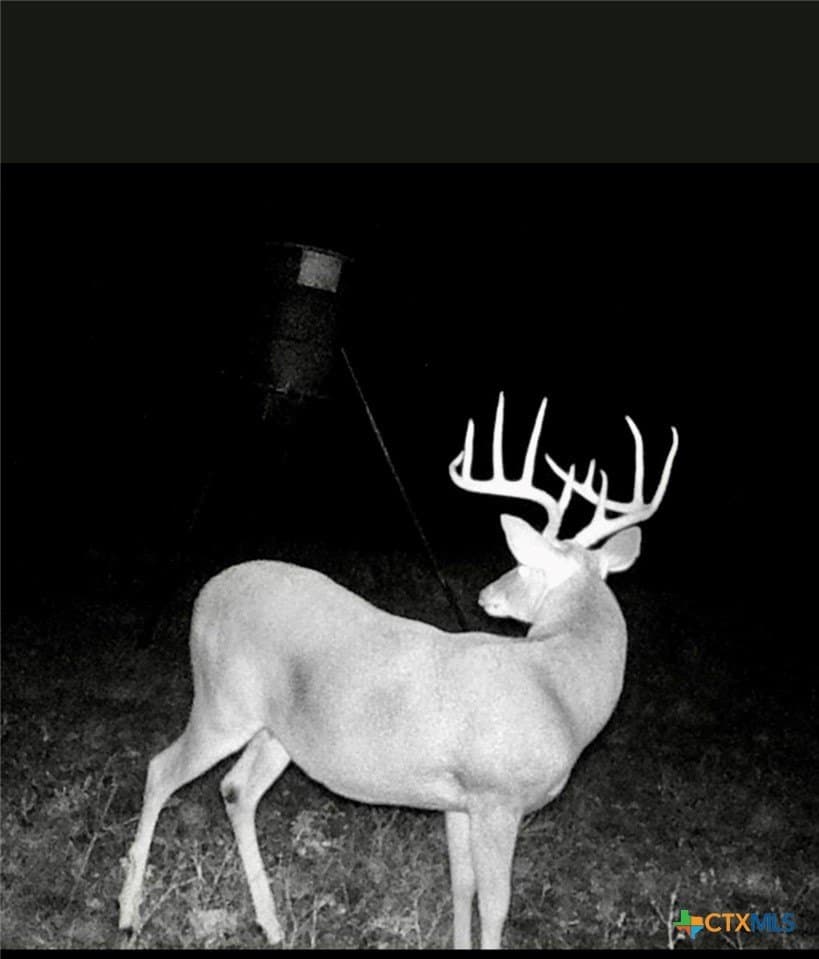 17.95 acres in Lampasas County - photo 7