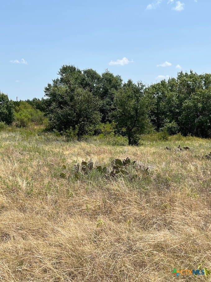 17.95 acres in Lampasas County - photo 17