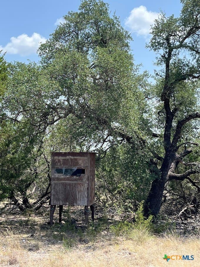 17.95 acres in Lampasas County - photo 8
