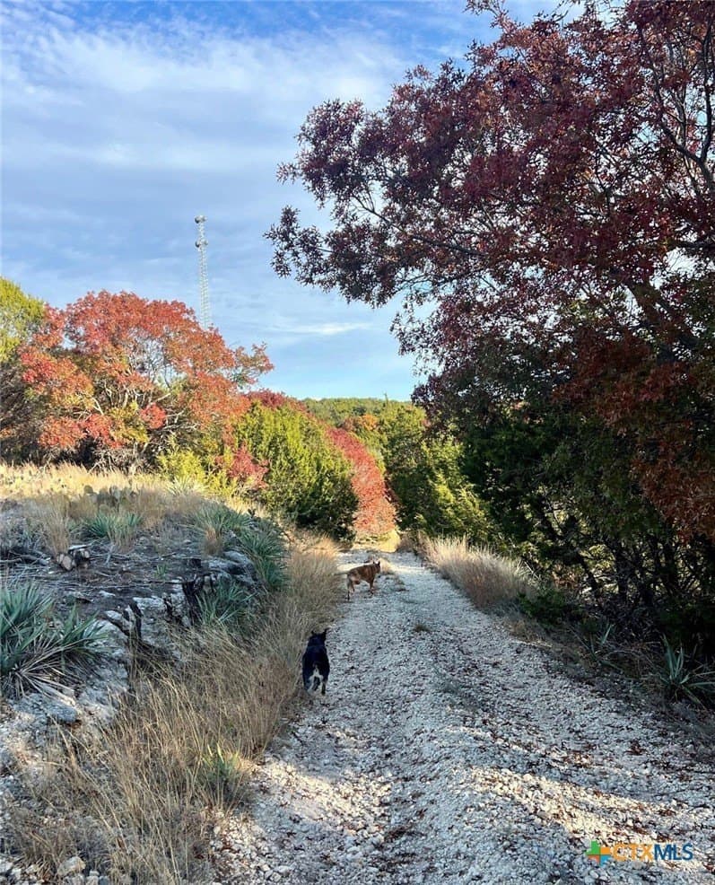 17.95 acres in Lampasas County - photo 11