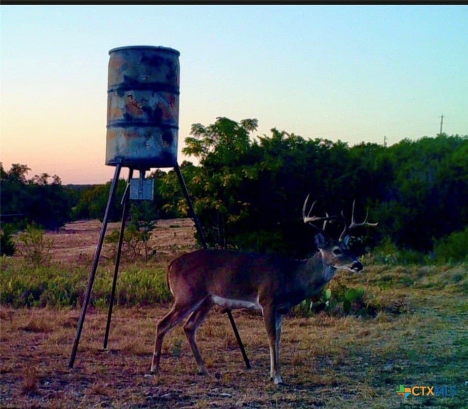 17.95 acres in Lampasas County - photo 6